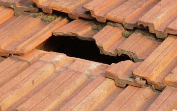 roof repair Angus