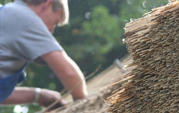 professional Angus thatchers